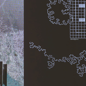 全智贤无码流出A片
