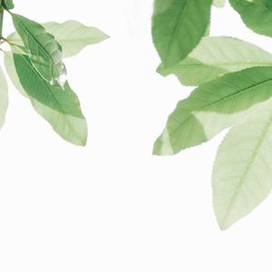 全智贤无码流出A片
