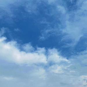 全智贤无码流出A片
